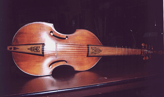 instrument de instruire varicoza)